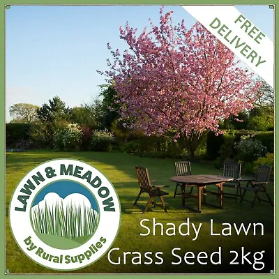 Shady Lawn Grass Seed 2KG  - TOUGH QUALITY GRASS FOR DARK & SHADED AREAS • £16
