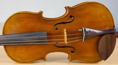 Old Vintage Violin 4/4 Geige Viola Cello Fiddle Label CARLO TONONI Nr. 1856 • $567.20