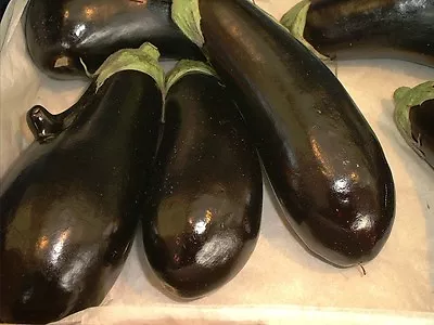 Aubergine  Moneymaker F1  40 Seeds • £2.49