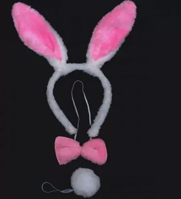 Rabbit Costume Ears And Tail Bunny Costume. Book Week. • £3.99