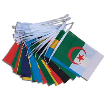 African Nations Flag Bunting 15m 54 Country Flags - Black History Month Africa • £19.50