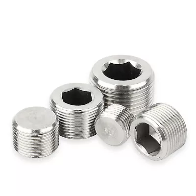 BSP Male Blanking Plugs 1/8  1/4  3/8  1/2  3/4  1  1-1/4  1-1/2  2   • $250.45