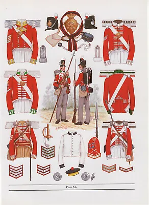 Vintage British Uniform Print 1812-1815 Infantry Of The Line Battalion Companies • £27