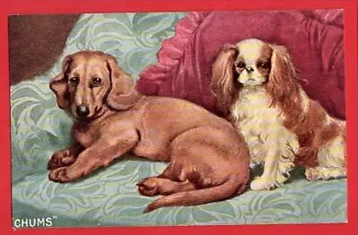 Dogs.   Dachshund + King Charles Spaniel.    Chums • £5