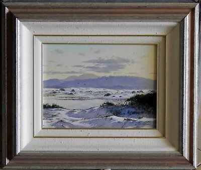 Les Graham (1942-) Original Oil Painting Killick Beach Crescent Head Kampsey • $599