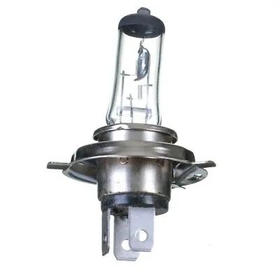 $19.11 • Buy Headlight Bulb For Suzuki S40 BOULEVARD LS650 2005 To 2020