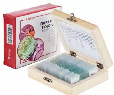 25pc Prepared Glass Microscope Slides In Wood Case With Plant Fungus Insect... • $15.99