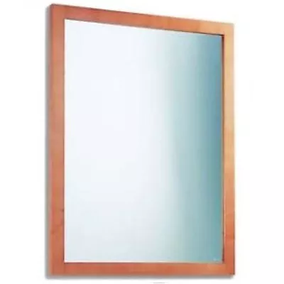 Sonia Turin Collection 29  Wide By 37  High Mirror With Washed Oak Frame NEW • $65.99