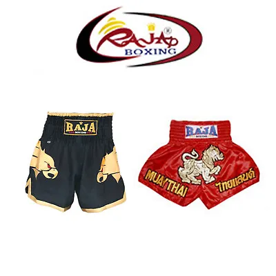 Raja Muay Thai Kick Boxing Satin Shorts S M L XL 3L XXL • $55.95