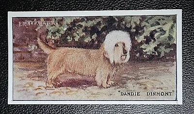 £4.99 • Buy DANDIE DINMONT   Vintage 1920's Dog Card  MB11