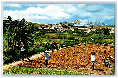 Lam Dong Vietnam Postcard Garden Scene At Da Lat In The High Country C1950's • $29.95