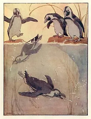 Penguins Diving Margaret Tarrant Antique Print In 10 X 12 Inch Mount STUNNING • £16.95