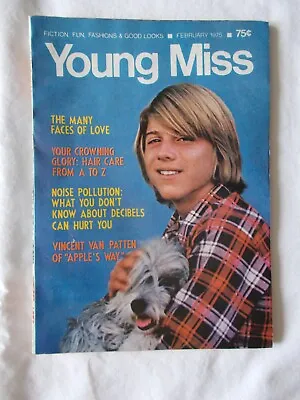 Young Miss Magazine February 1975 Vincent Van Patten Hair Care Faces Of Love • $19.99