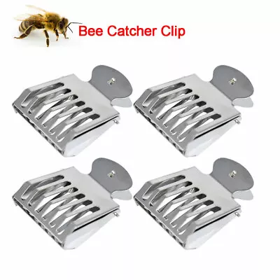 4PCS Metal Queen Bee Catcher Clip Cage Catching Beekeeping Equipment Steel USA • $15.95