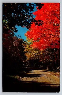 Autumn Glory Scene Vintage Posted 1966 Manitowish Waters Wisconsin Postcard • $5.25