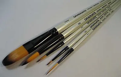 Daler Graduate Brush Set 0 2 8 Oval Wash Rigger  -  For Watercolour Acrylics • £12.99