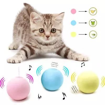 Electric Automatic Rolling Cat Ball Interactive Smart Toy Kitten Training  • $4.87