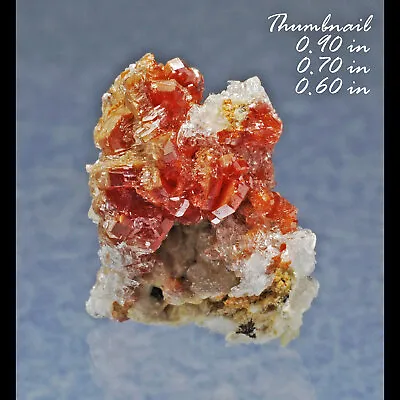 Red Vanadinite / Barite Mibladen Morocco Minerals Crystals Gems-thn • $9.99