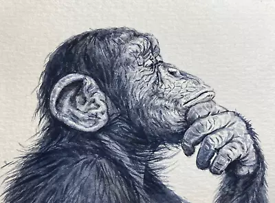 Watercolor Painting Monkey Chimpanzee Art No.164 • $34.50