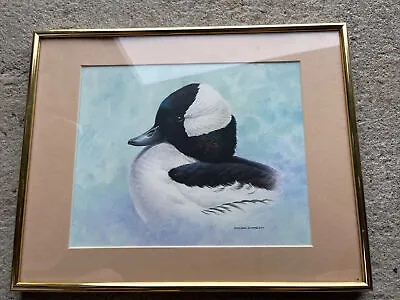 Michael Dumas Bufflehead Duck Print 1989 Framed • $100