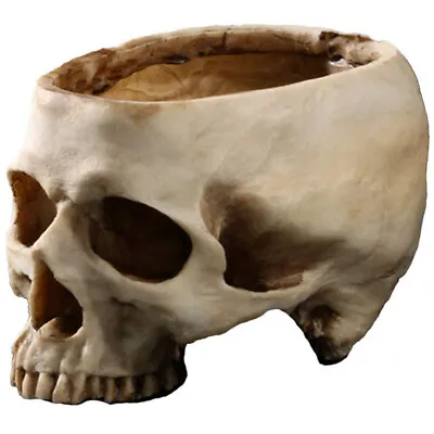 Human Skull Head Plant Pot Skeleton Succulent Herb Flower Planter Halloween Deco • £9.95