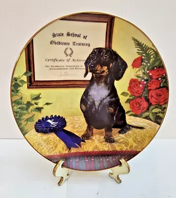 Danbury Mint DACHSHUND The Graduate Doxie Weiner LImited Edition Dog Plate • $24.95