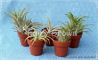 1-1/2  Plastic Micro Mini Pots Thumb Pots For Air Plants & Violets  POTS ONLY • $3.50