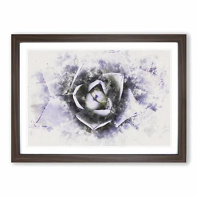 Lilac Succulent Plant Wall Art Print Framed Canvas Picture Poster Decor • £29.95