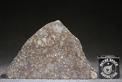 Northwest Africa 16101 L3 Chondrite Meteorite 39g Partial Cut Metal/chondrules • $1.25