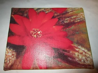 American Girl Of Year 2013 Saige Copeland Painting RED FLOWER Canvas Only • $17.11