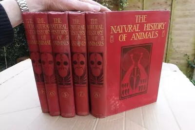 Vols. 4-8 Of The Natural History Of Animals 1904 - Talwin Morris Binding Design • £18.99
