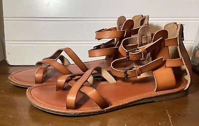 American Eagle Tan Greek Gladiator Strappy Double Buckle Sandals Size 8 • $14.99