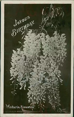 £2.80 • Buy Joyous Birthday Wisteria Sinensis Rapid Photo 1910 Postmark 
