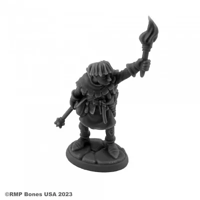 Reaper Bones USA Dungeon Dwellers 07110 Henchmen Linkboy RPM2 • $4.75