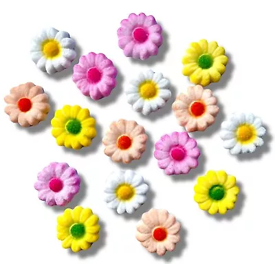 16 Daisy Flowers Cupcake Toppers Decorations Cake Sugar Edible Daisies Flowers • $8.33