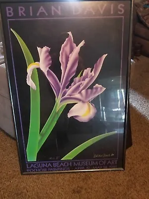 Vintage Iris V Brian Davis Orchid Laguna Beach FRAMED • $80
