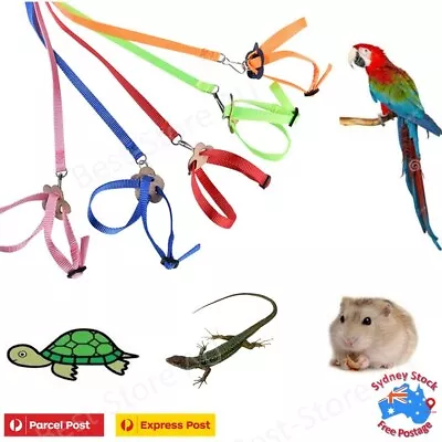 Reptile Harness Adjustable Lizard Bearded Dragon Leash Training Robe Outdoor AU • $7.98