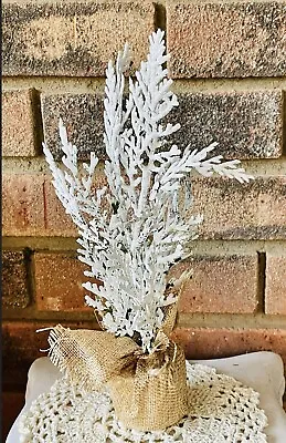Mini Frosty Cedar Tree 10” • $9.21