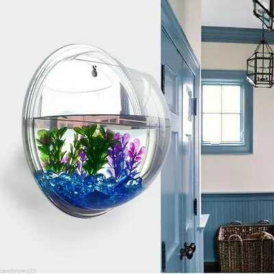 Acrylic Wall Mounted Hanging Fish Bowl Aquarium Tank Beta Goldfish Plants Modern • £15.31