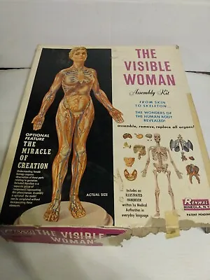 Vintage 1960 Renwal The Visible Woman Plastic Model Kit No. 804   • $48