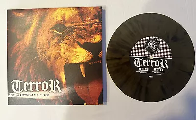 Terror: Rhythm Amongst The Chaos 2007 Reaper 5 Track 7  Color Vinyl Hardcore Ep • $17.15