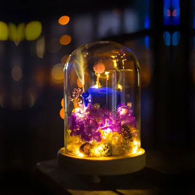 £8.95 • Buy LED Light Up Glass Display Cloche Dome Bell Jar RGB/Warm White Wood Base Decorat