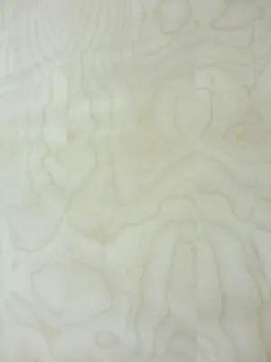 Birch White Wood Veneer 48  X 96  With Paper Backer A Grade Quality 1/40  Thick • $80
