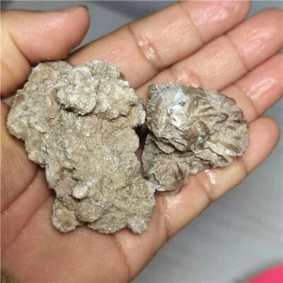 $0.01 • Buy 77g DESERT ROSE SELENITE Specimen Crystal Stone Mineral Cluster  L704