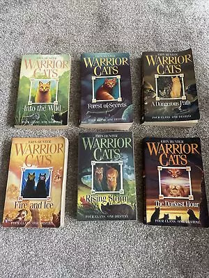 Warrior Cats Series 1: The Prophecies Begin - 6 Books Collection Set By Erin... • £10