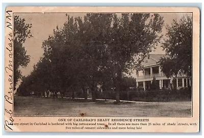 1911 One Of Carlsbad's Shady Residence Streets Advertising Malaga NM Postcard • $19.97