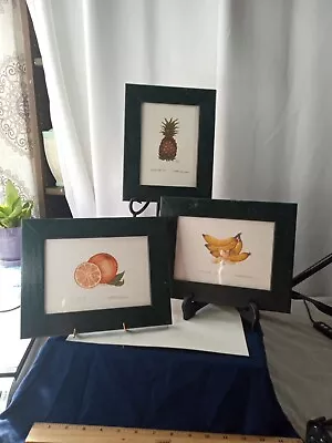 Set Of 3 Martha Hinson Art Print Framed Pineapple Orange Banana Numbered  Signed • $45