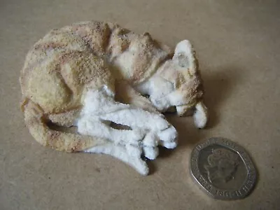 Country Artists A Breed Apart Miniature  SLEEPING CAT  Figurine. Unboxed. • £12.99