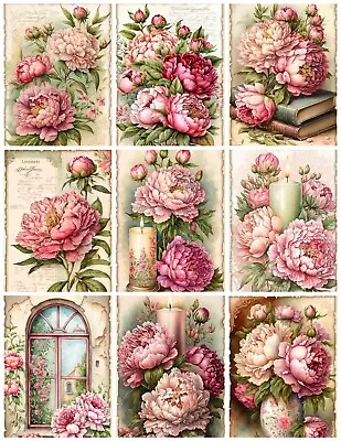 Set Of 9 Vintage Shabby Chic Garden Peonies  Craft STICKERS - Just Cut & Use! • $3.60