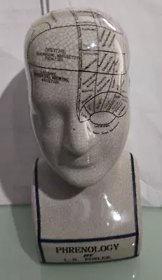 PHRENOLOGY BY LN L. N. FOWLER   Bust Head Vintage Glaze Look 10 Inches • $57.41